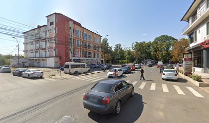 Sc Borangicul srl Strada Ștefan cel Mare 188