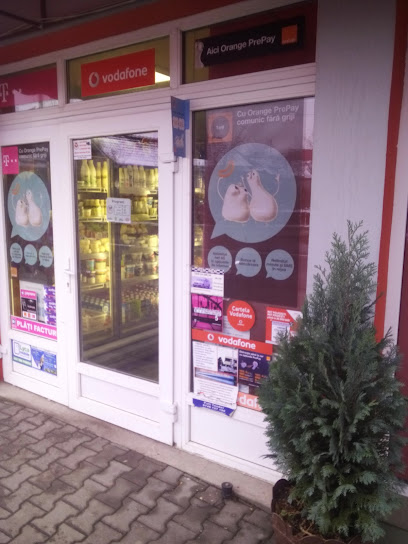 Sc Flamtech s r l Strada Victoriei 185