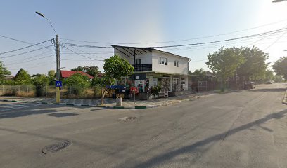 Sc Perfect Armony Srl Strada Alexandru Pușkin