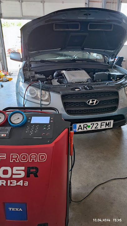 Schrot Auto Sebiș