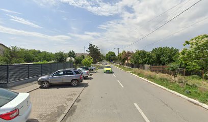 Servicii de securitate