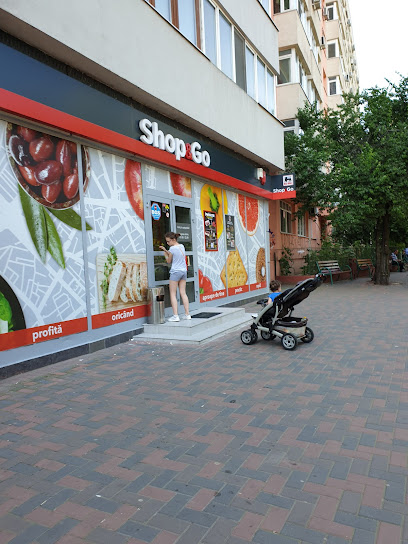 Shop & Go Bulevardul Camil Ressu 76