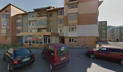 Sildan zorilor Bloc 10
