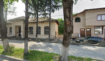Steaua Electrică S.A. Str. Garii