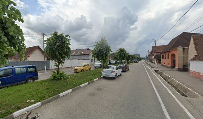 TAMARA S.R.L. Strada Laterală 65