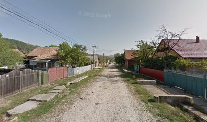 Tabucom Construct Strada Teiului 37-13