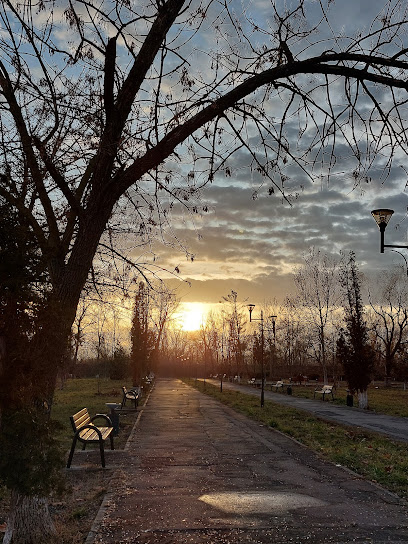 Țăndărei 1 Şoseaua Bucureşti - Constanţa 182