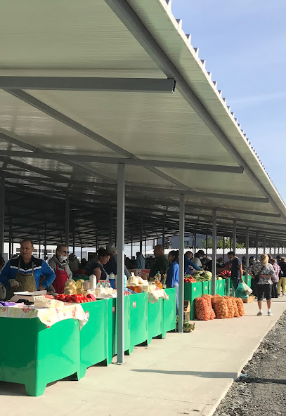 Targ Piata Bragadiru Strada Unirii 70