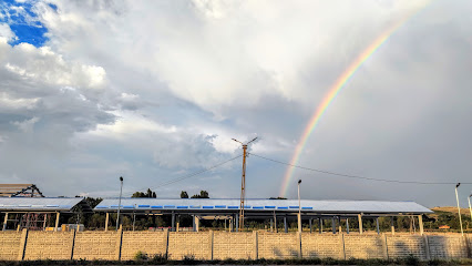 Târg Săptămânal Strada Târgului 5
