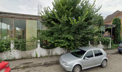 Tirgujiu Strada Jiului 11