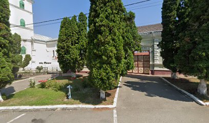 Tisyna Gifts Piața Trandafirilor Nr21