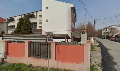Top Vision Strada T3 nr. 2
