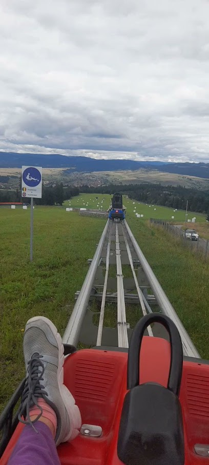 Toplita SA Toplița 535700