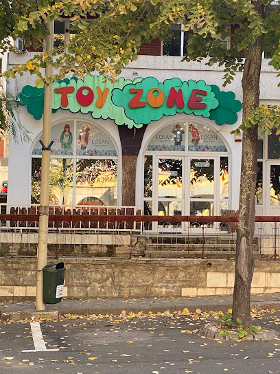 Toy Zone Strada Babadag 19
