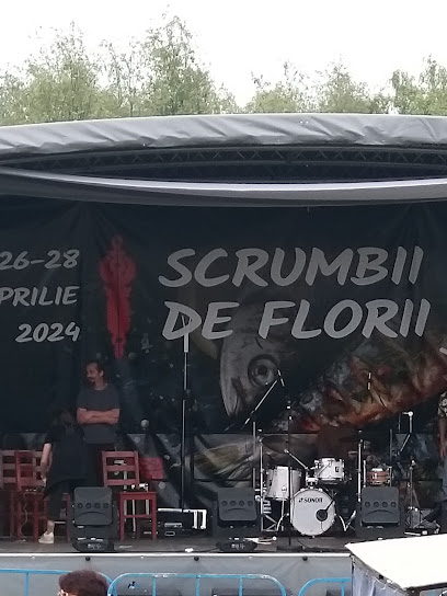 Tulcea Tulcea