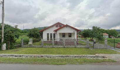 VESTA IMPORT EXPORT S.R.L. Strada Lungă 35