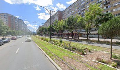 VIITORUL CĂRĂŞAN S.C.A. Bd. Republicii