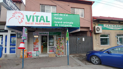 VITAL AFUMAȚI 134