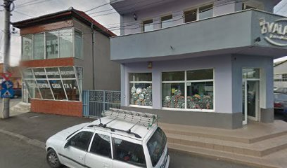 Valara Strada George Coșbuc 8
