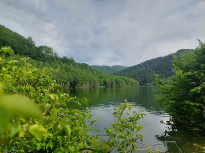 Valica Pescar Str. Valea Nehoiului nr 2