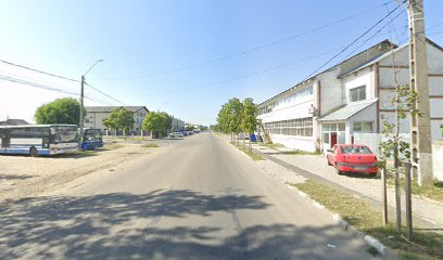 Veterra - Farmacie Veterinara Titu Strada Gării
