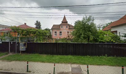 Virágüzlet Strada Principală 200