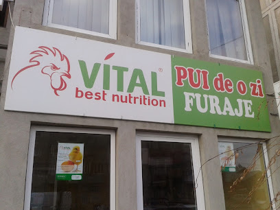 Vital Best Nutrition Găești Strada 1 Decembrie 47