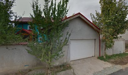 Vlad din Afumati Str. Islazului 5