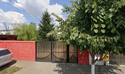 ZILANROM TRADING S.R.L. Voluntari