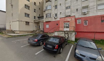 ZebraPay PROFI 2317 (SEGARCEA)