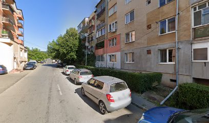 bSEO Strada Vasile Goldiș 16