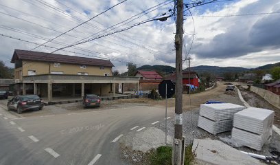 ii chis ileana daniela Săliștea de Sus 437295