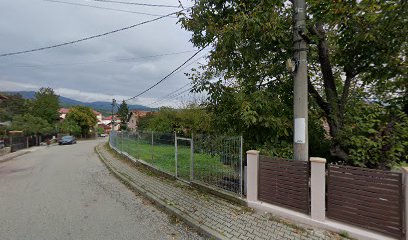 importate.ro Călimănești 245600