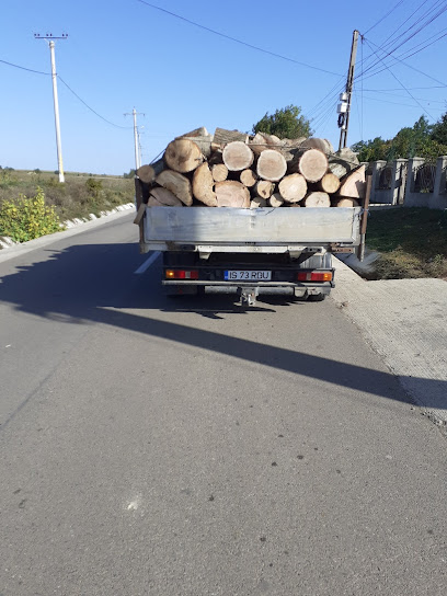 lemn de foc Erbiceni 707191