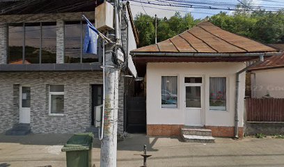 magazin piese auto Strada Victoriei 52