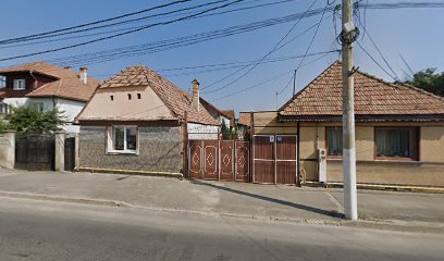 raiinstal Strada Mare 389